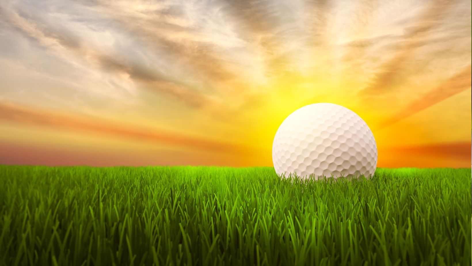 The Ultimate Guide to Home Golf Simulators