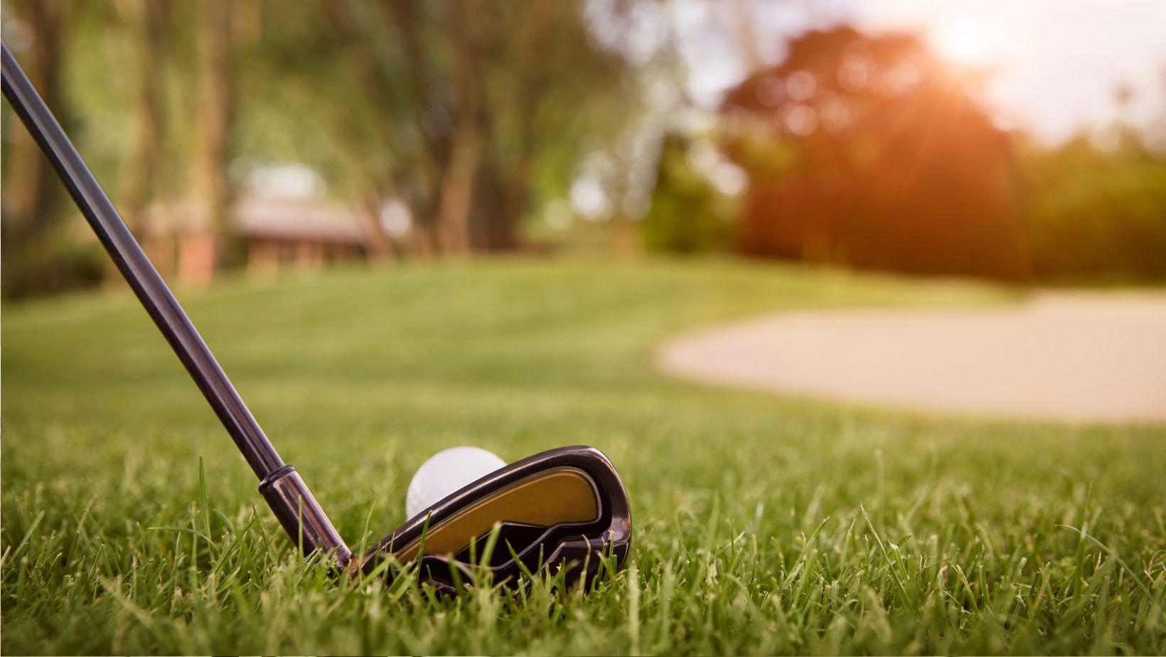 How Often Should You Play Golf to Get Better?