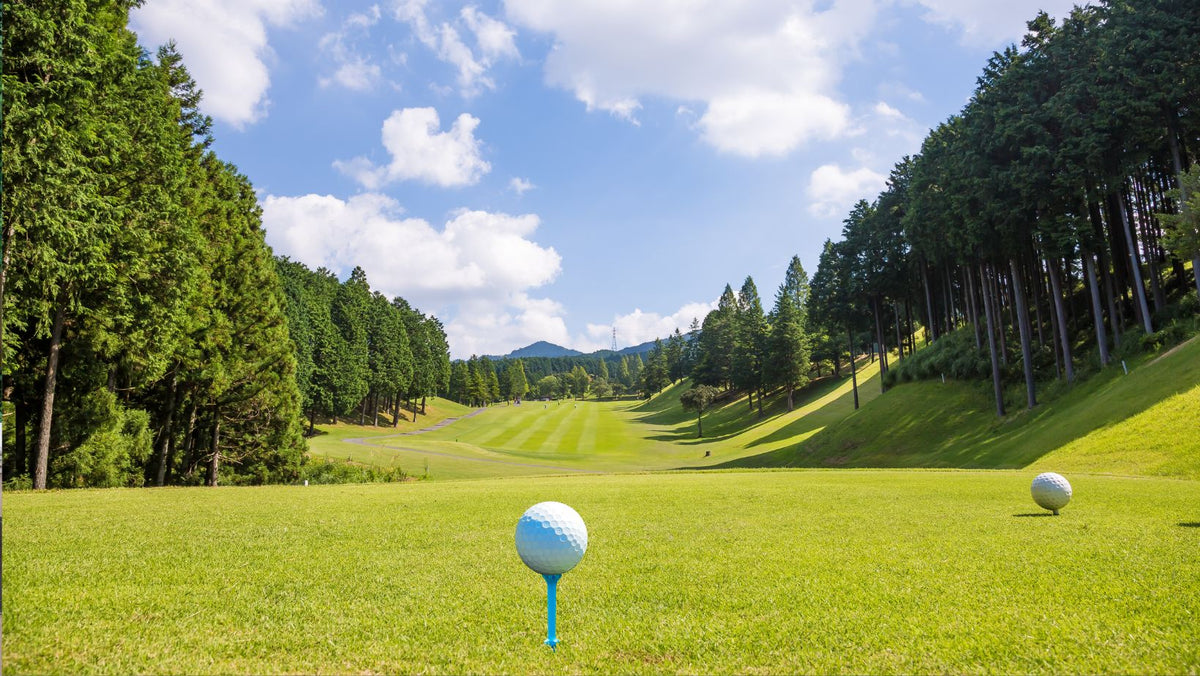 Golf Small Scale Swing Big in Small Spaces — Simply Golf Simulators