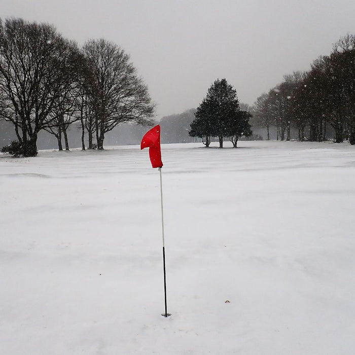 The Impact of Weather on Home Golf: Adapting with Simulators