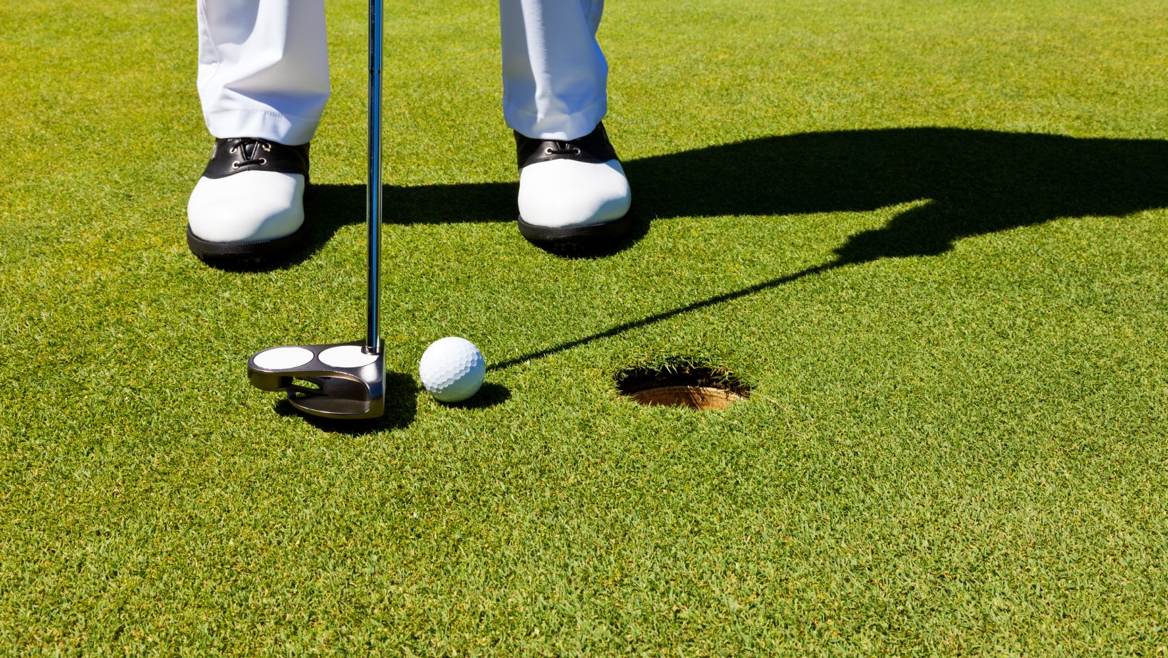 Navigating the Green Maze of Choosing the Right Surface for Your Home Putting Green