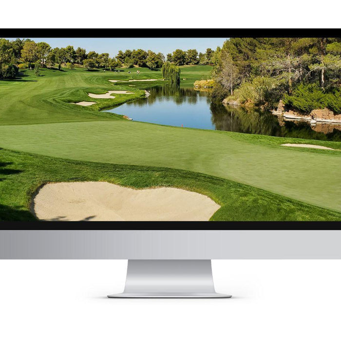 Projector and Screen vs. Hitting Net and Computer Screen for Golf Simulators