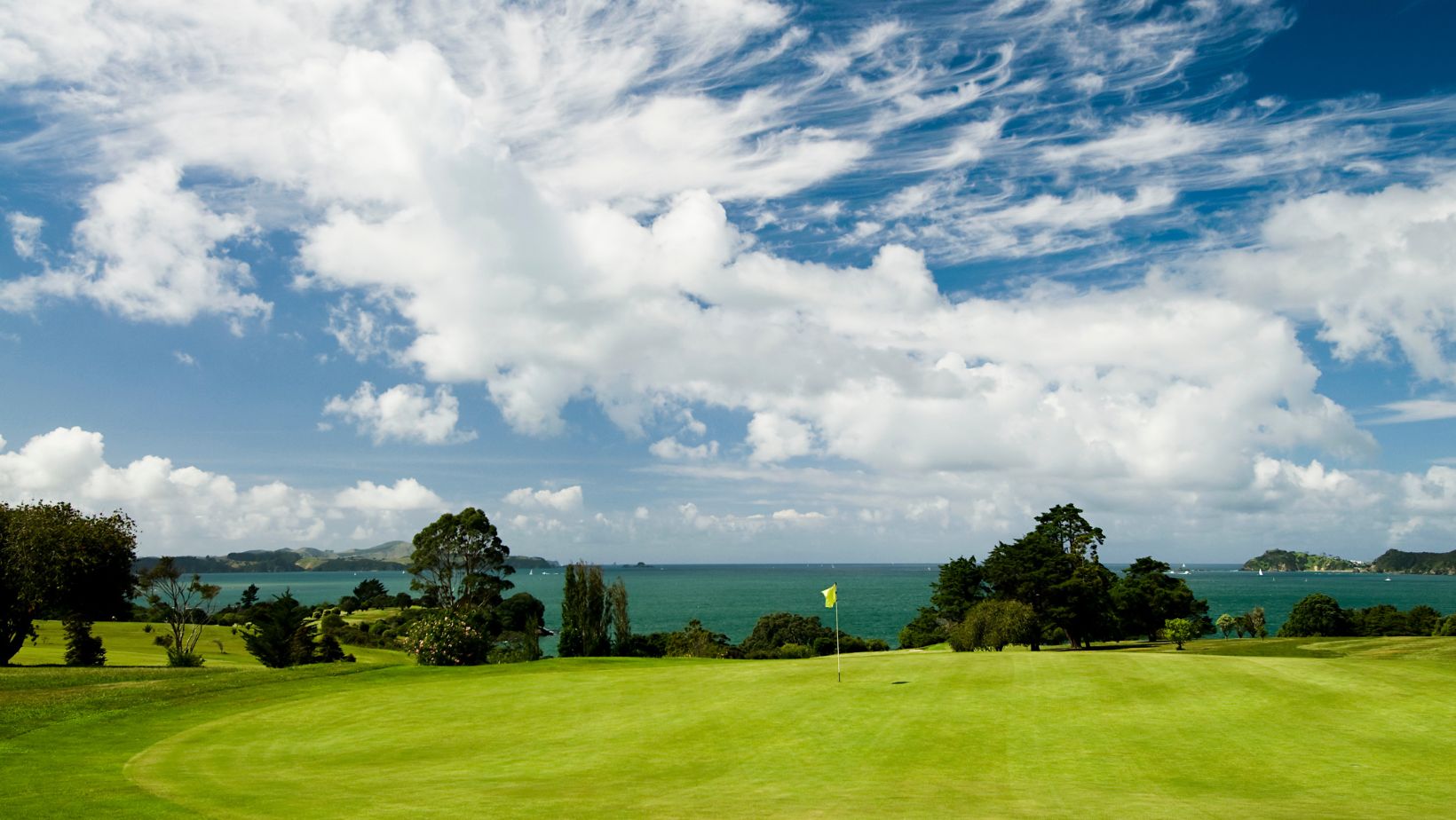 Unlock Your Golfing Dreams: Home Golf Simulators for Sale