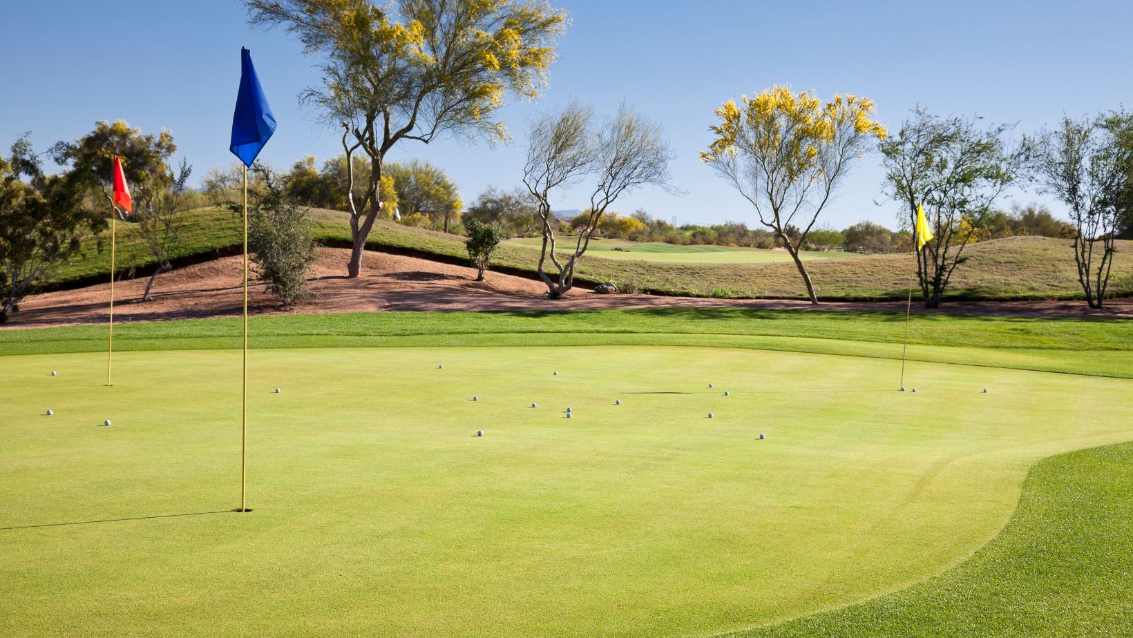 Trends in the Commercial Golf Industry: Embracing Innovation and Expanding Reach