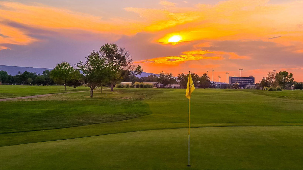 A Guide to Golf Simulator Setups — Simply Golf Simulators